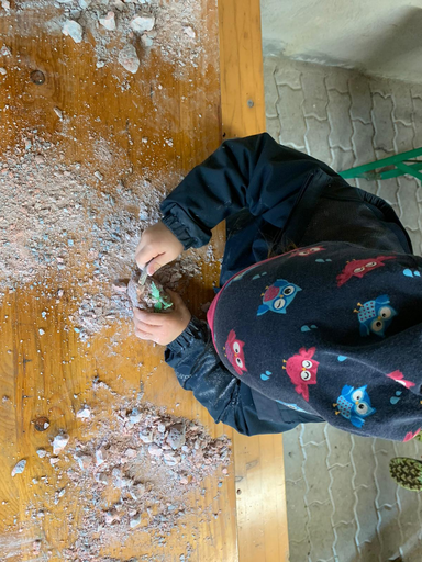 Dracheneier und Drachenkraft
