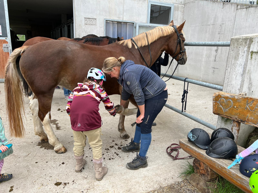 Ponyreiten