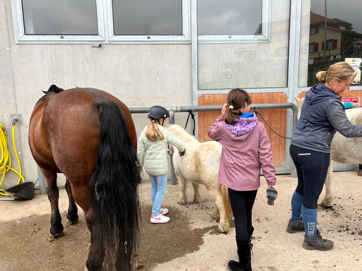 Ponyreiten