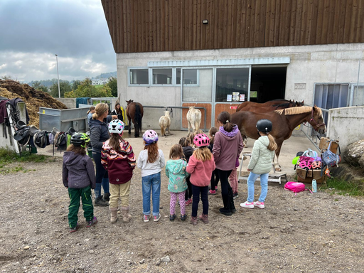 Ponyreiten